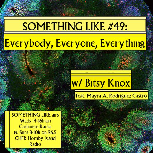 Something Like #49: Everybody, Everyone, Everything w/ Bitsy Knox 09.11.2022
