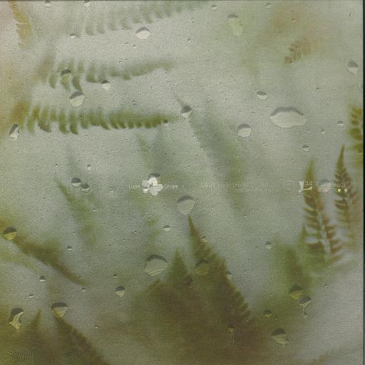 Patterns - 11.01.2020