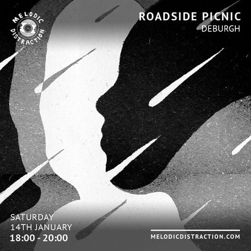 Roadside Picnic with Deburgh (January '23)