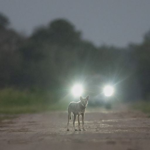 Chris Zippel, Tim Angrave - Reworked