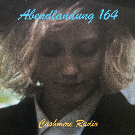 Abendlandung # 164 - Bunte Mischung 03.02.2025