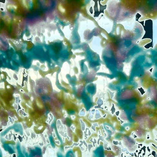 Homeshake - 12th March 2026