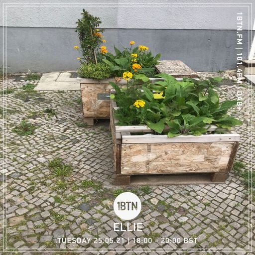 Ellie - 25.05.2021