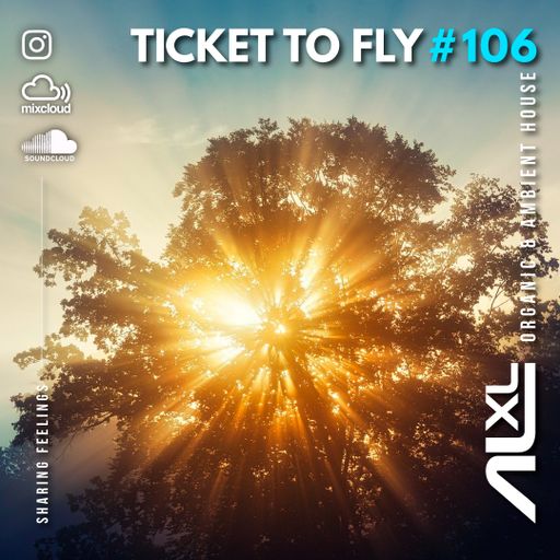 TICKET TO FLY #106 NOV 2024 (Organic House) - Exclusive Session for RadioTronica (AR)
