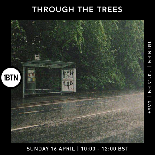 Through The Tree's with Ty - 16.04.2023