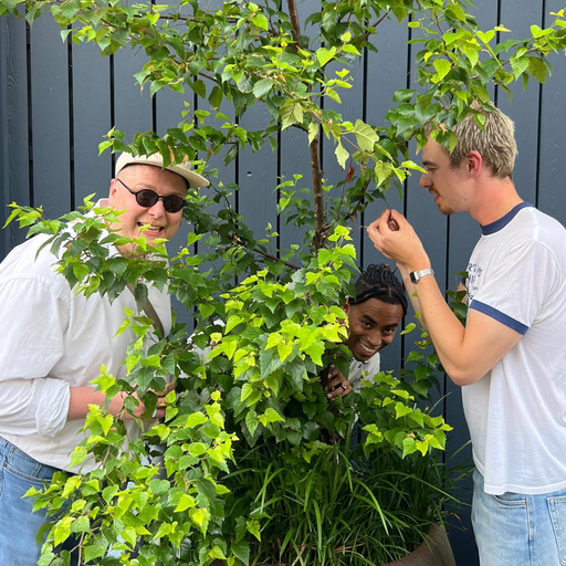 Five Points - 21/06/23