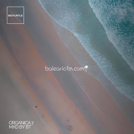 Organic Mix (007) (BigT)