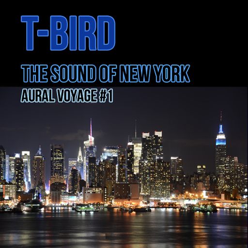 The Sound of New York - Aural Voyage #1