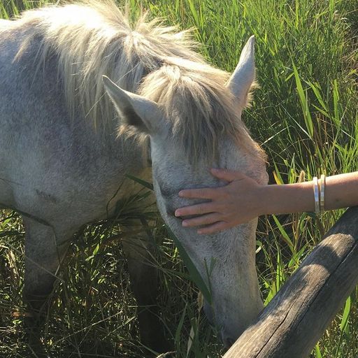 The Early Bird Show w/ BRADEN WELLS - 3rd November 2025