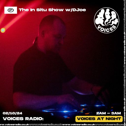 The In Situ Show w/ DJoe - 02/10/24 - Voices Radio