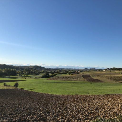 Saline A Carbone 2021 - The 35% Mix