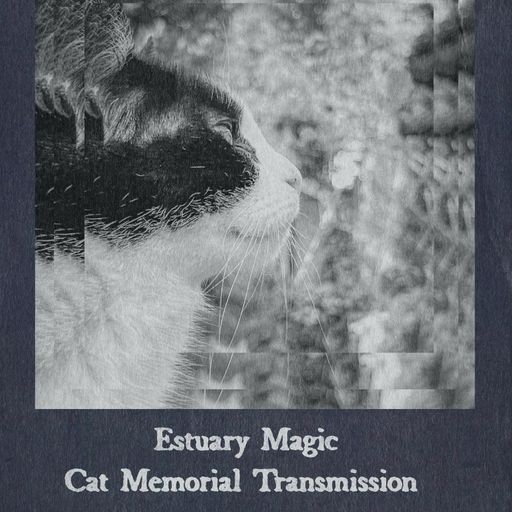 Estuary Magic #34 - Cat Memorial Transmission - 2nd November 2024