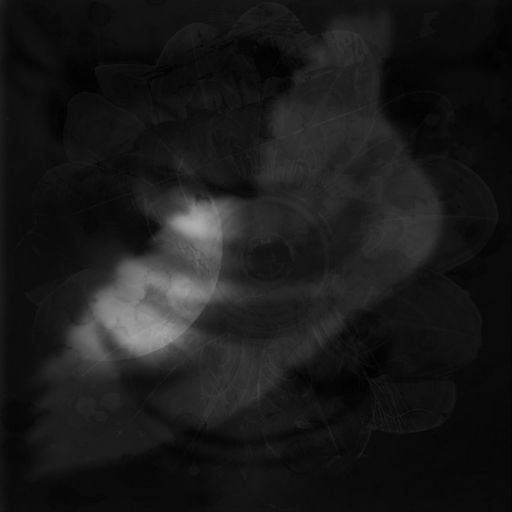 Peter Van Cooten - Secret Chords & Apparitions