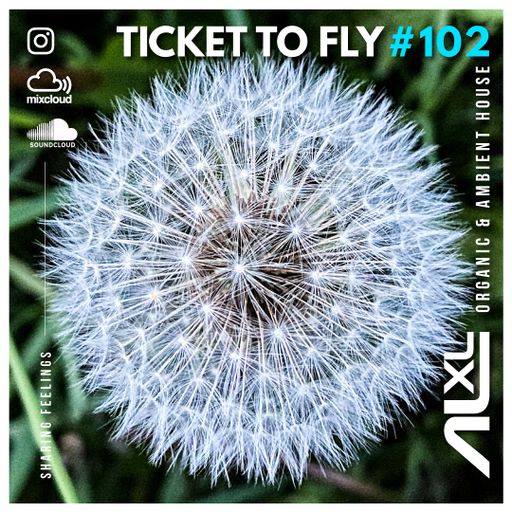 TICKET TO FLY #102 AGO 2024 (Organic House) - Exclusive for dreamers!