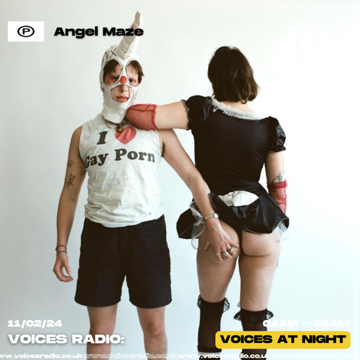 Maze - 11/02/24 - Voices Radio