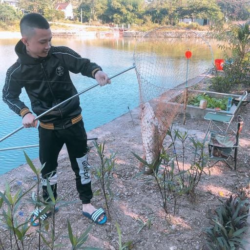 NST - Việt Mix 2019 ( Chống Chỉ Định Với Các Thanh Niên Seven Love )