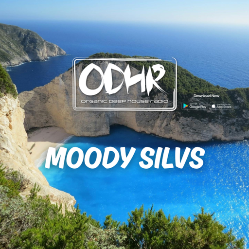 MOODY SILVS - Halcyon: Four