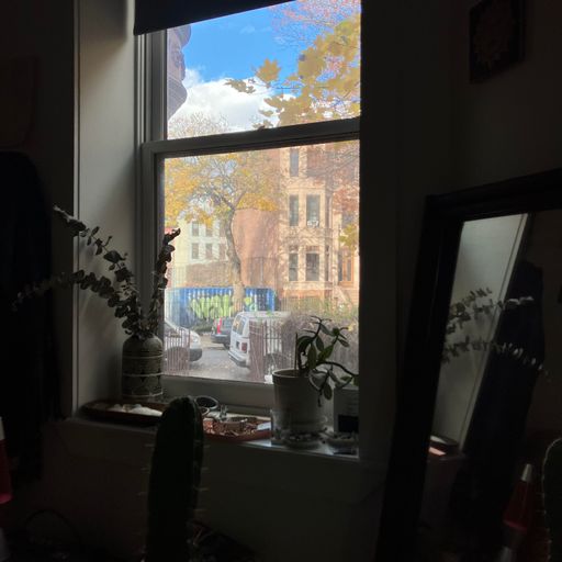 whole milk (12/04/23)