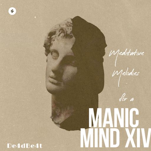 Manic Mind XIV (Meditative Melodies for a)