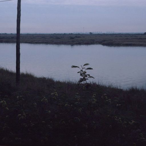 TRANSIENCE #16 with Minou Oram 12.04.192019
