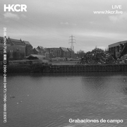 Grabaciones de campo - 20/08/24