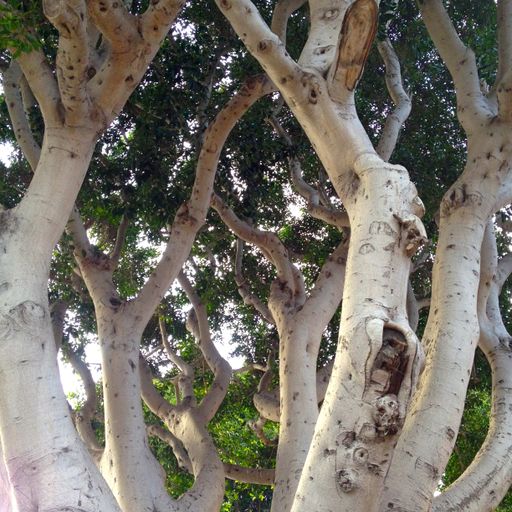 Everything seems to be up in the air (Eclectic Playlist Series, 2.03)