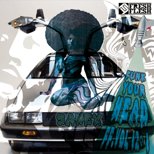 FRESH FLESH VOL.12+1 "FUNK YOUR HEAD" BY SANEX 