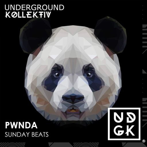 pwnda - pwnda - Sunday Beats - Celestial bodies entwined (UDGK: 13/07/2025)