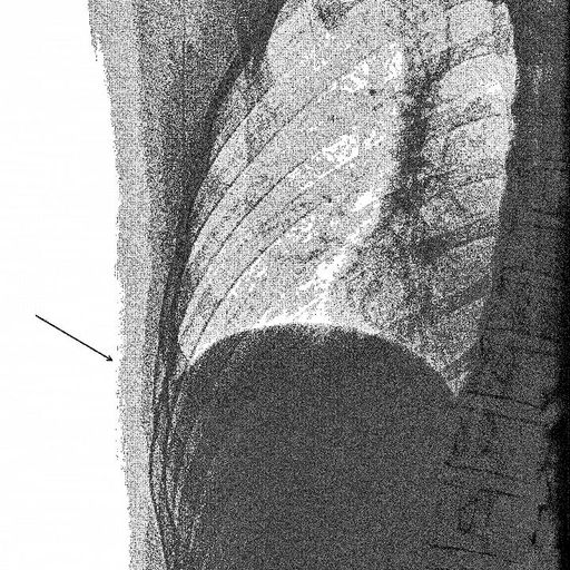 Cold Pizza w/ Stud1nt - 3rd July 2025