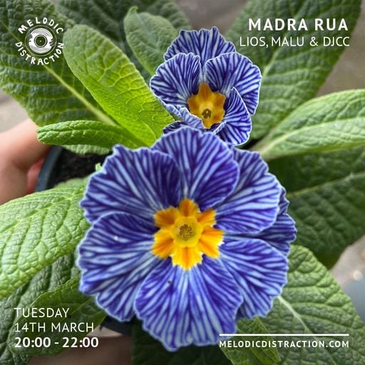 Madra Rua with Lios, Malu & DJCC (March '23)