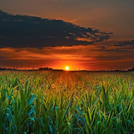 The Wait Part.2 (DeepBeats)