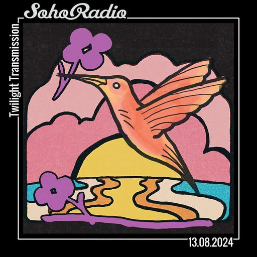 Twilight Transmission (13/08/2024)