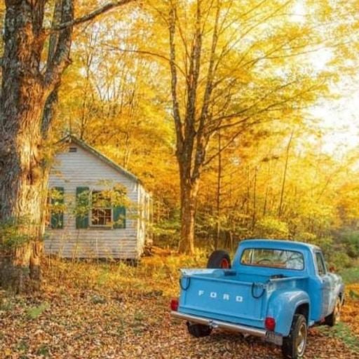 Gistro FM 749 (18/10/20) My Autumn's Done Come