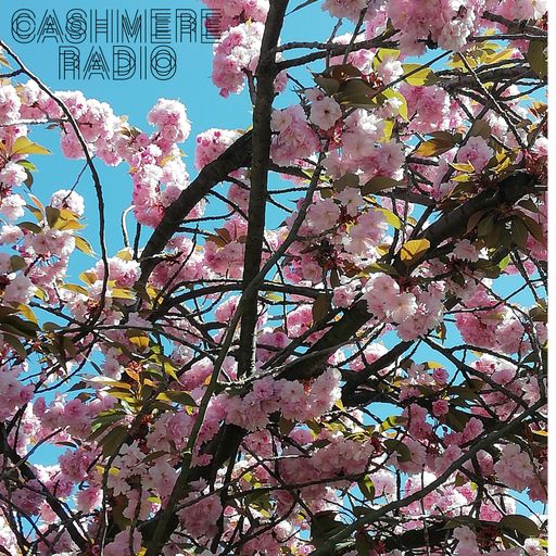 Fantasy Fiction #24 w/ Cosmic Palms ~ Outdoor Vibes for Indoor Lives 27.04.202020
