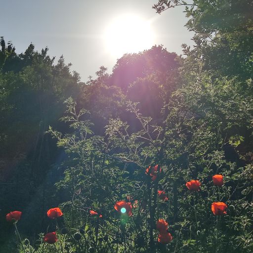 Keri's Kitchen live on 674FM / 16.06.2025: HOT JUNE EVENING