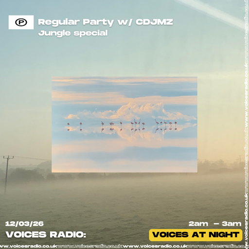 Regular Party w/ CDJMZ 12/03/26 - Voices Radio