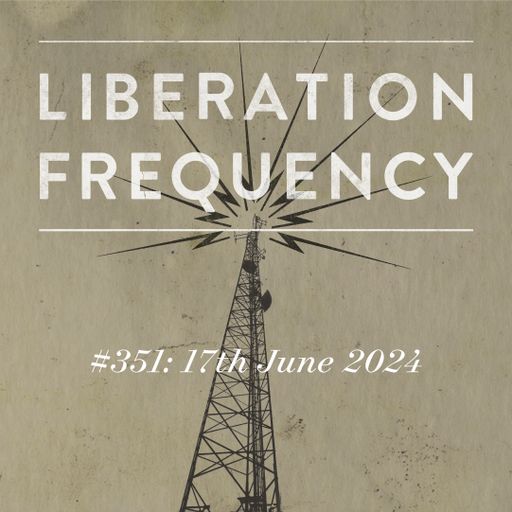 Liberation Frequency #351