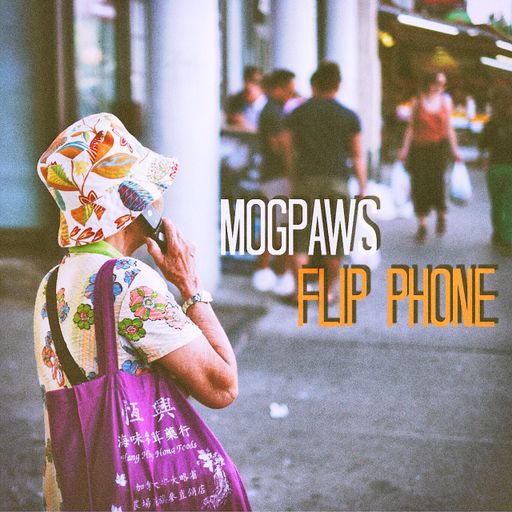 Flip Phone