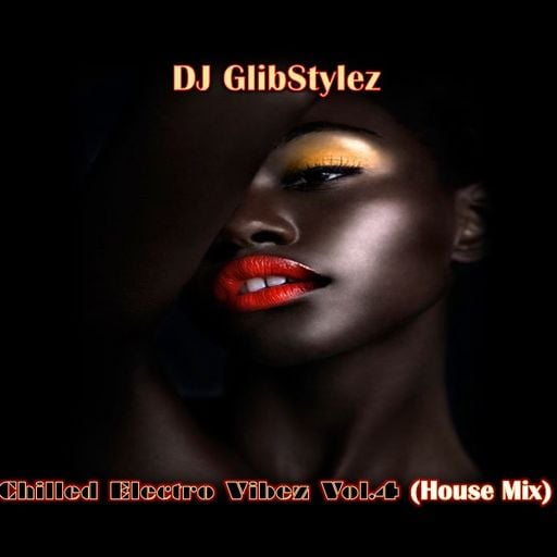 DJ GlibStylez - Chilled Electro Vibez Vol.4 (House Mix)