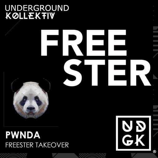pwnda - pwnda - Sunday Beats - FREESTER  (UDGK: 15/01/2023)