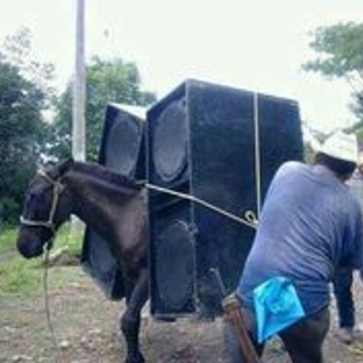 MADERA VERDE on SOAS RADIO; season 5; show 6