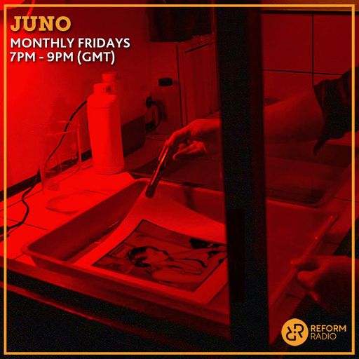 JUNO 8th November 2024