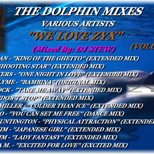 THE DOLPHIN MIXES - VARIOUS ARTISTS - ''WE LOVE ZYX'' (VOLUME 11)