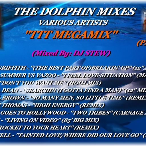 THE DOLPHIN MIXES - VARIOUS ARTISTS - ''TTT MEGAMIX'' (PART. II)