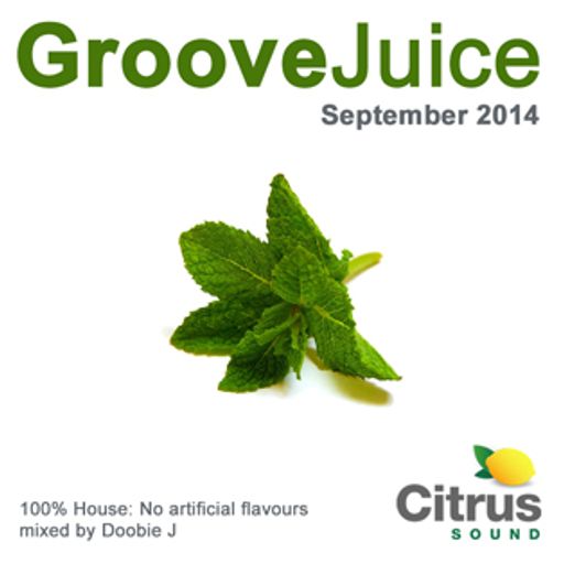 Groove Juice Mojito - September 2014
