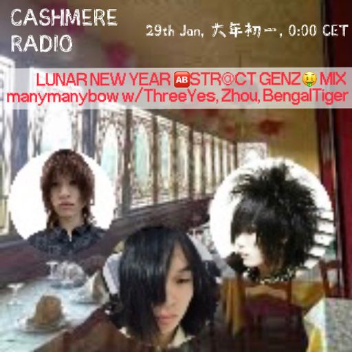 Perlmutt aka Pearlescent #53 w/ manymanybow ThreeYes, Zhou, BengalTiger - Lunar New Year 22.02.2026