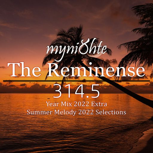 The Reminense 314.5 - Year Mix 2022 Extra (Summer Melody 2022 Selections)