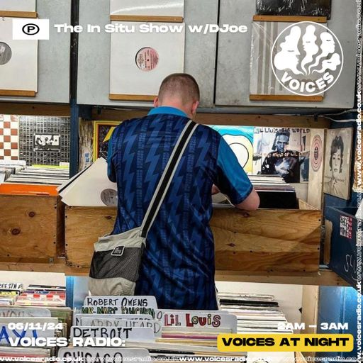 The In Situ Show w/ DJoe - 06/11/24 - Voices Radio