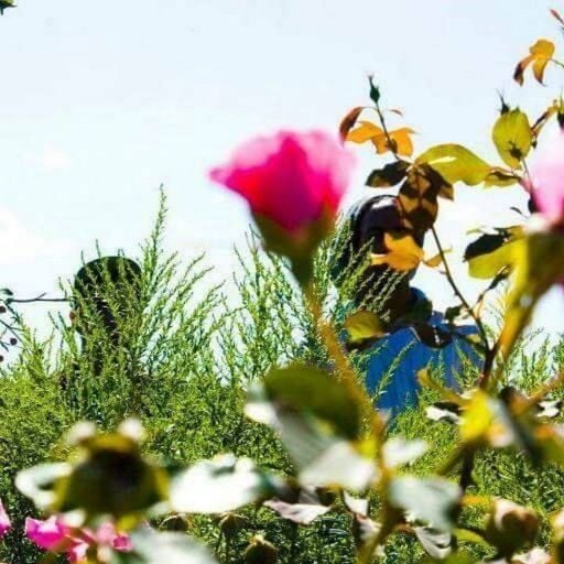 Improvisational Aesthetics w/ LAGOS (Leo123 x RADIUS) - 27th March 2026