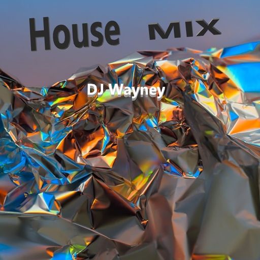 DJ Wayney - house music